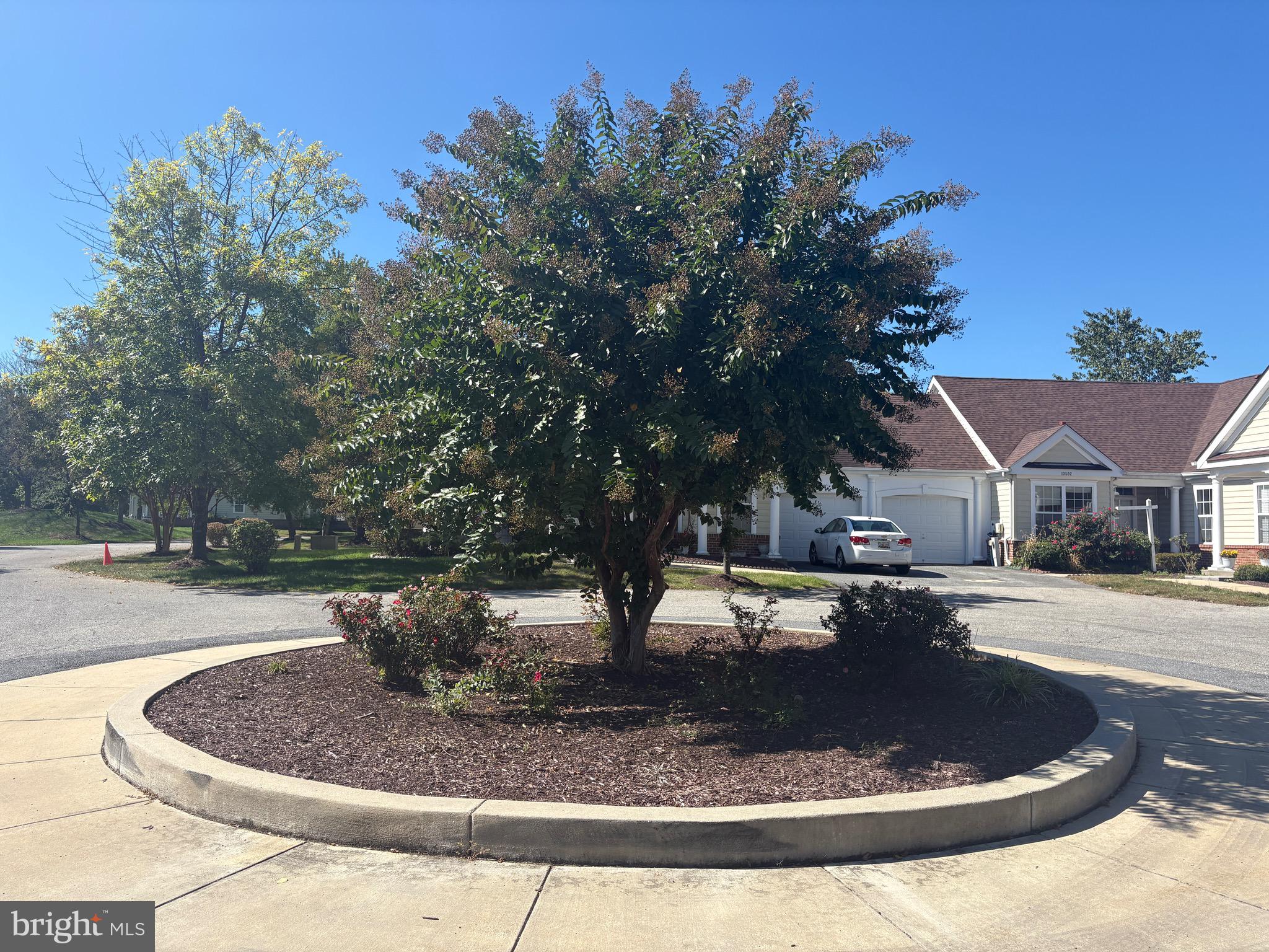 CAMERON GROVE - Residential