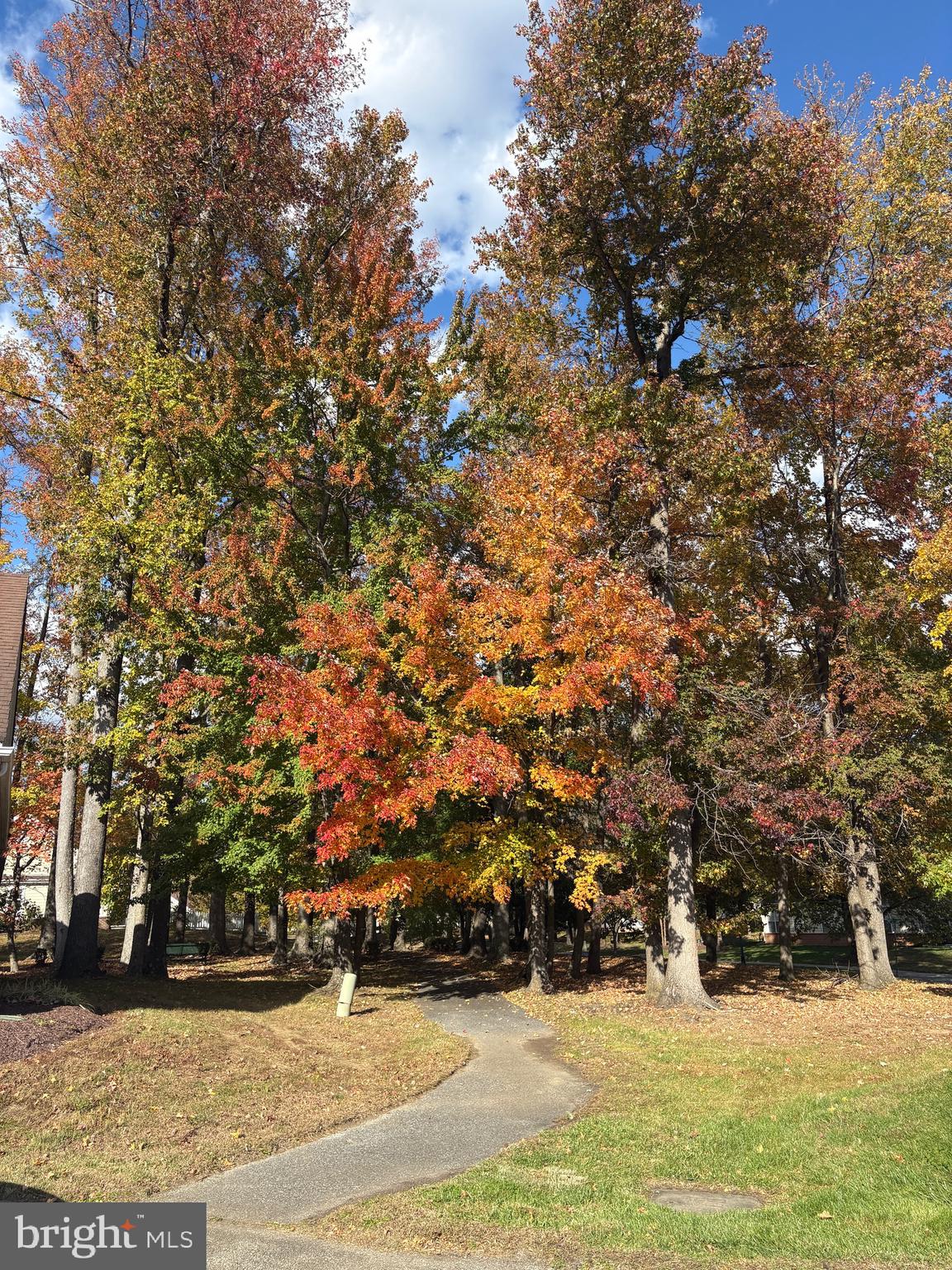 CAMERON GROVE - Residential