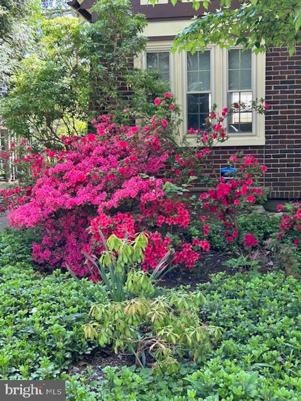 Photo of 1808 Sycamore Street, BETHLEHEM, PA 18017 (MLS # PANH2009078)