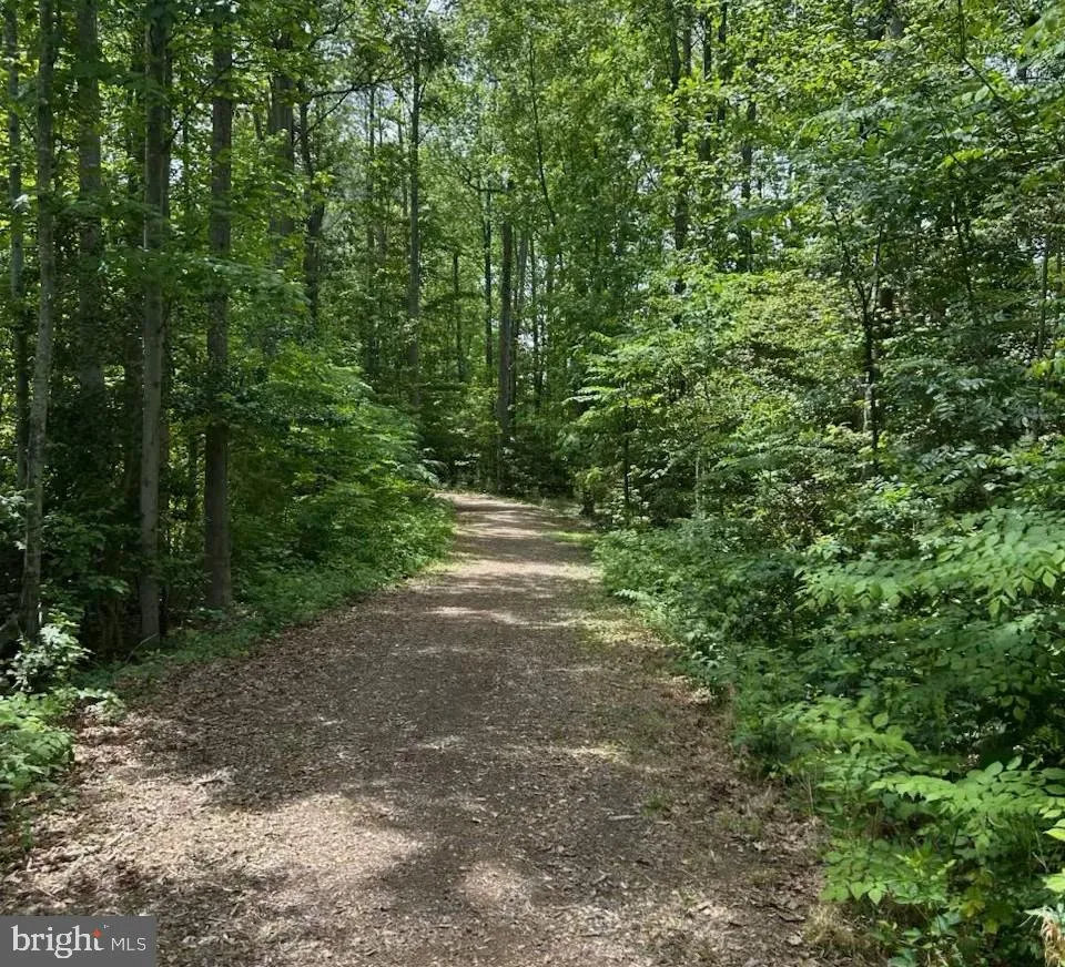 Lewes, Delaware 19958, United States, 4 Bedrooms Bedrooms, ,3 BathroomsBathrooms,Residential,Contingent,128975