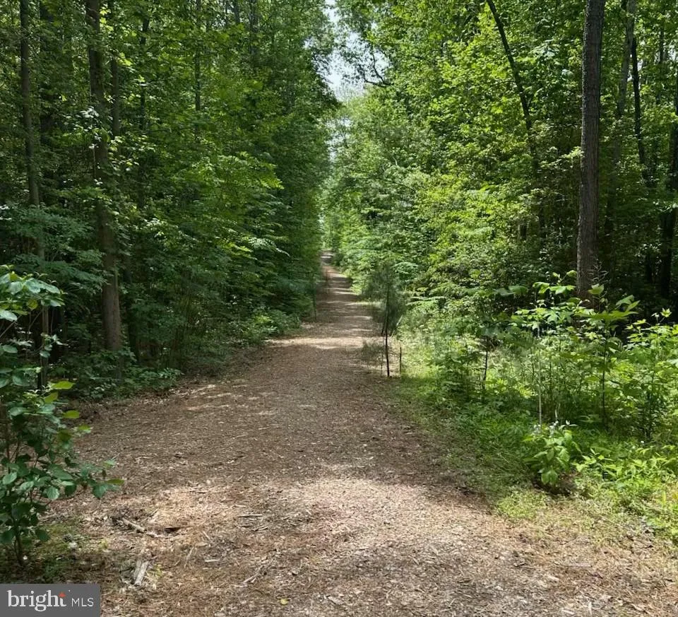 Lewes, Delaware 19958, United States, 4 Bedrooms Bedrooms, ,3 BathroomsBathrooms,Residential,Contingent,128975