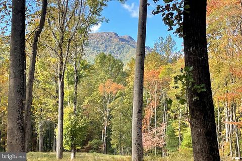 Vacant Land For Sale - Pine Hill<br/> Madison County, SPERRYVILLE, VA 22740