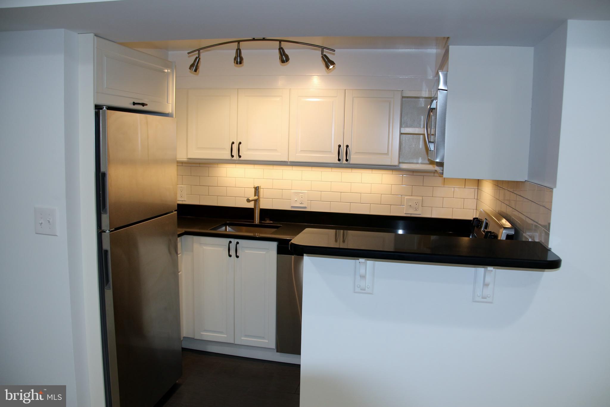 1438 MERIDIAN PLACE NW LL4