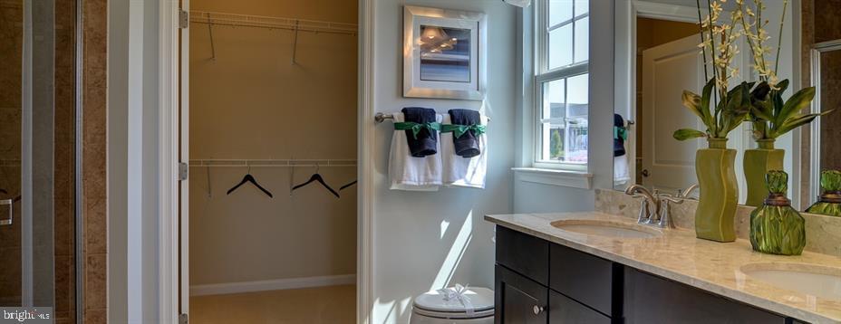 BIG ELK - Residential