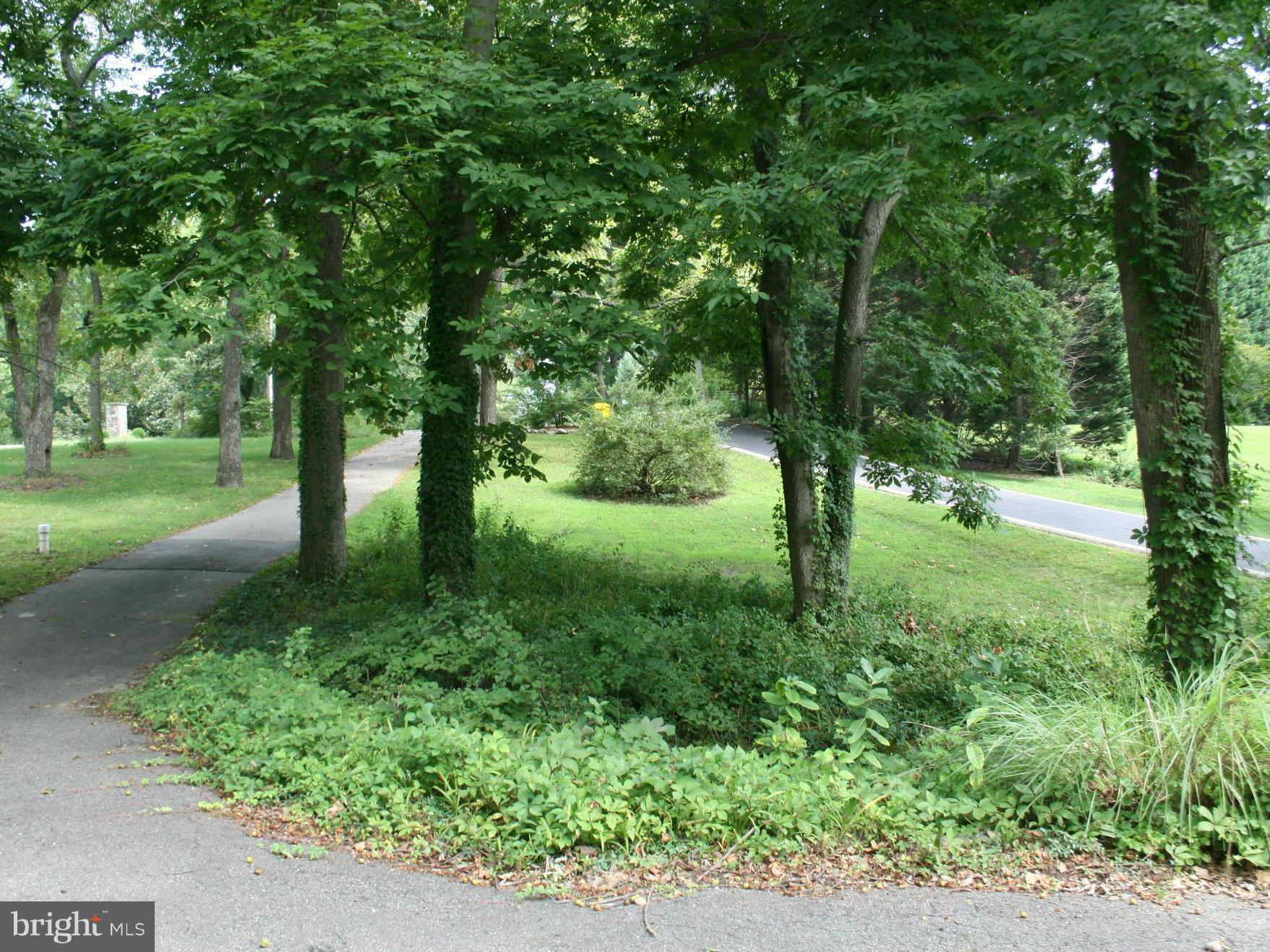 NORTH SHORE - Residential