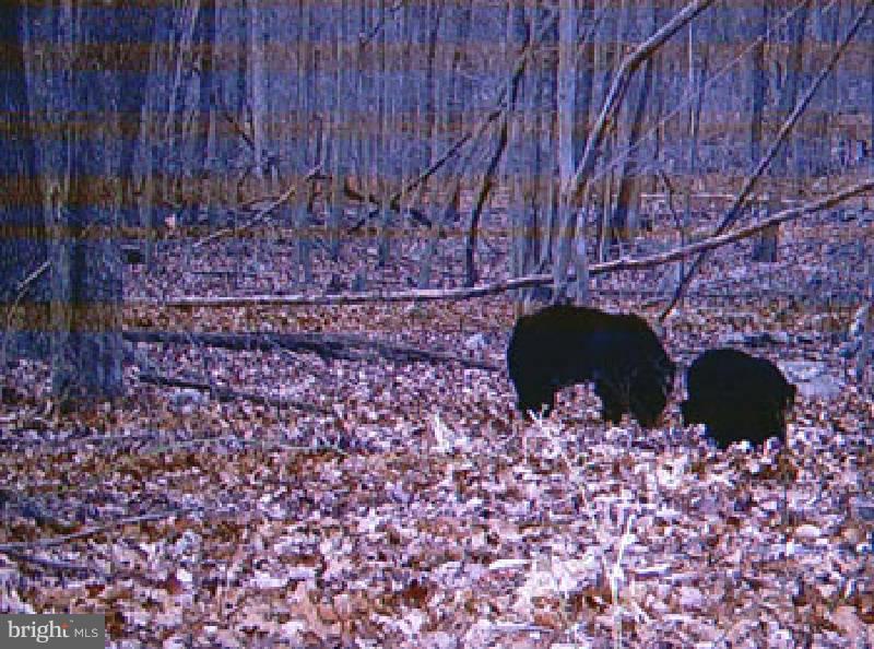 NONE AVAILABLE - Land