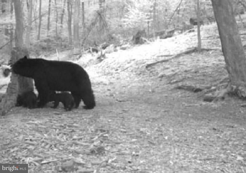 NONE AVAILABLE - Land