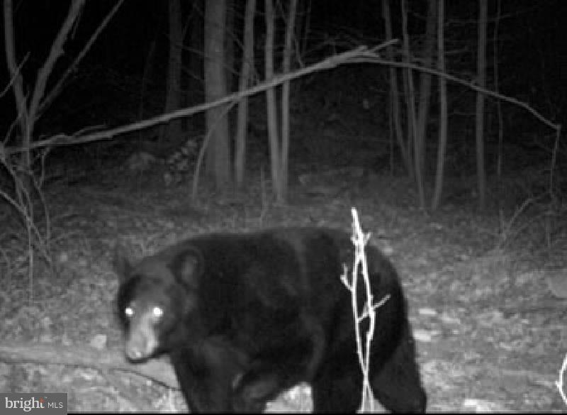 NONE AVAILABLE - Land