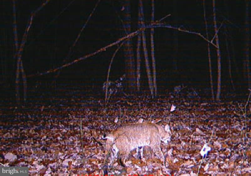 NONE AVAILABLE - Land