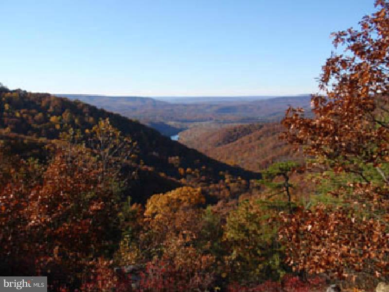 NONE AVAILABLE - Land