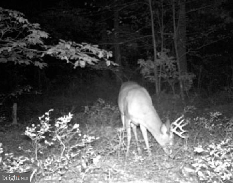 NONE AVAILABLE - Land