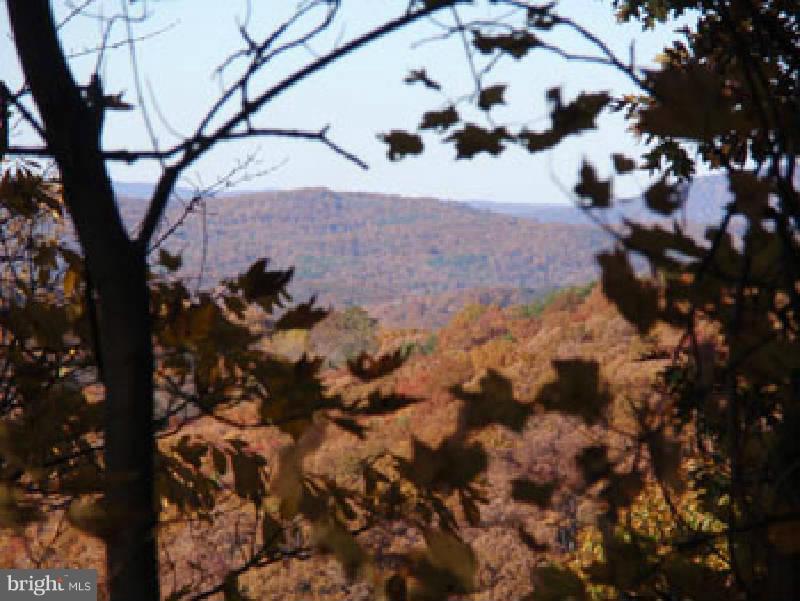 NONE AVAILABLE - Land