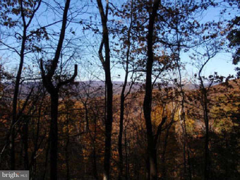 NONE AVAILABLE - Land