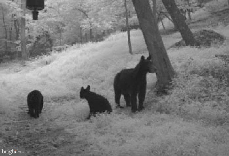 NONE AVAILABLE - Land