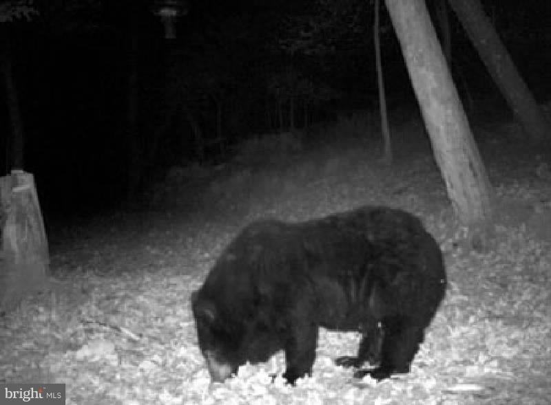 NONE AVAILABLE - Land