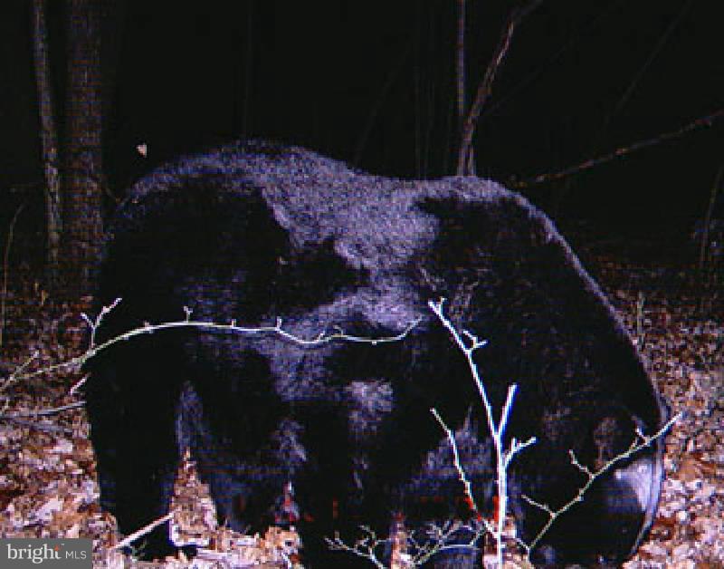 NONE AVAILABLE - Land