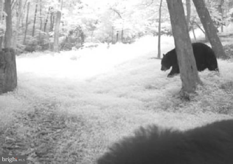 NONE AVAILABLE - Land