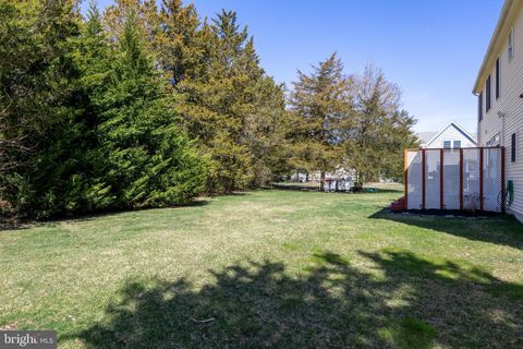 listing image 38