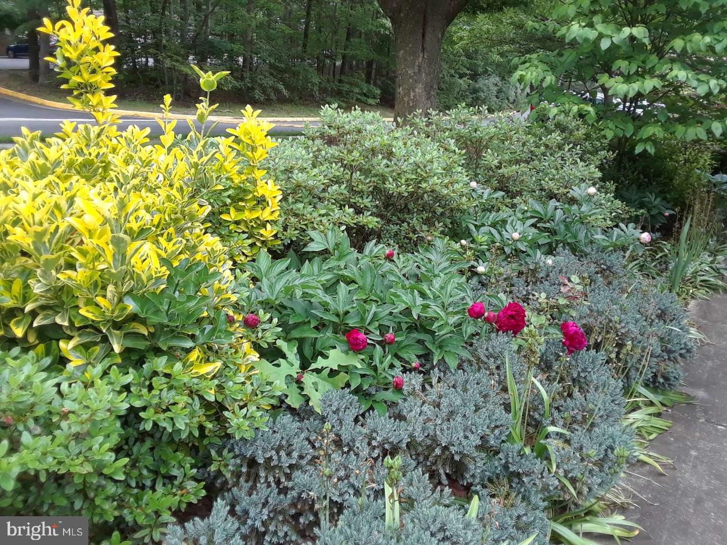 6010 TIMBER HOLLOW LANE