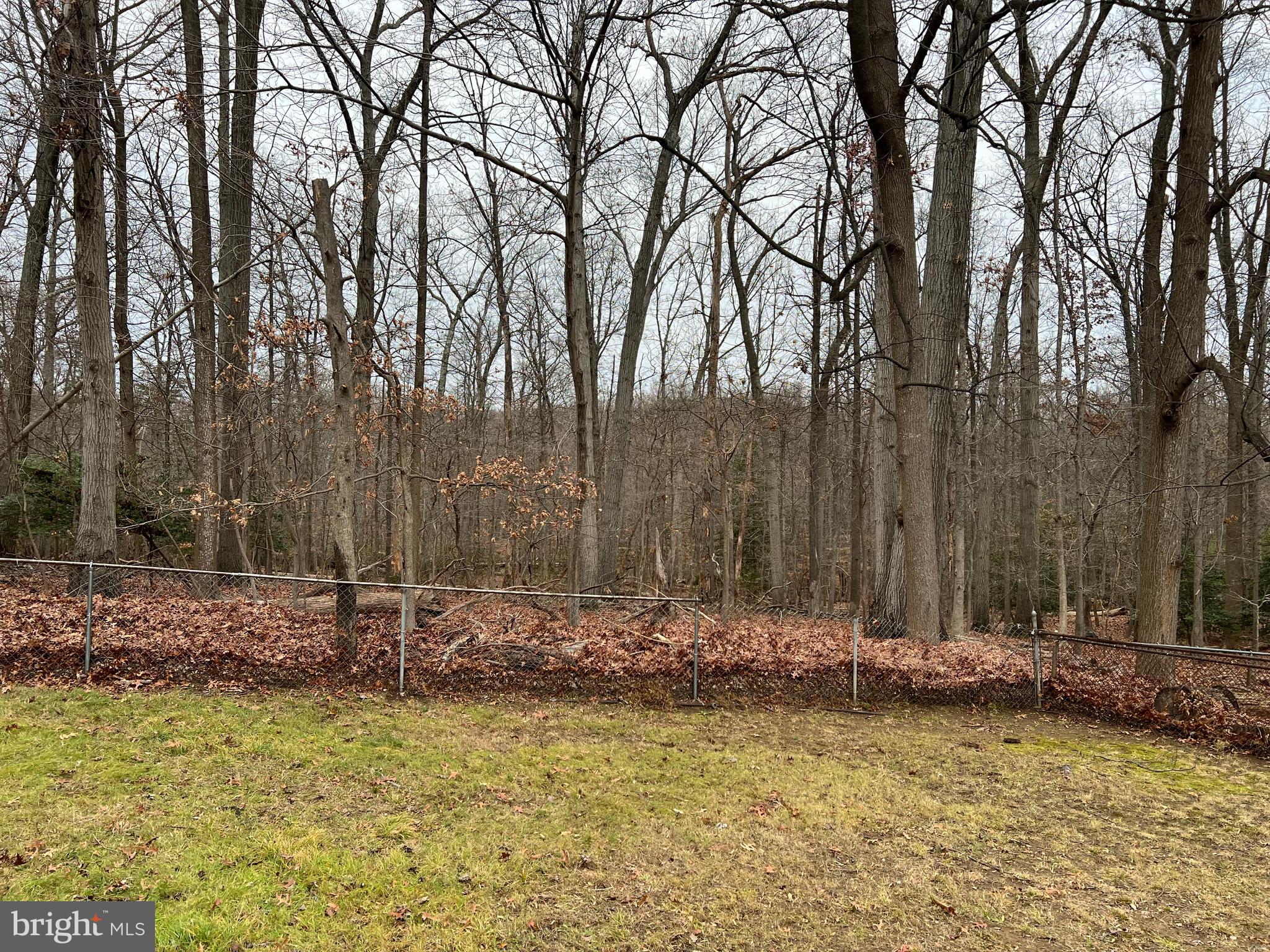 COLLEGE PARK - Residential Lease