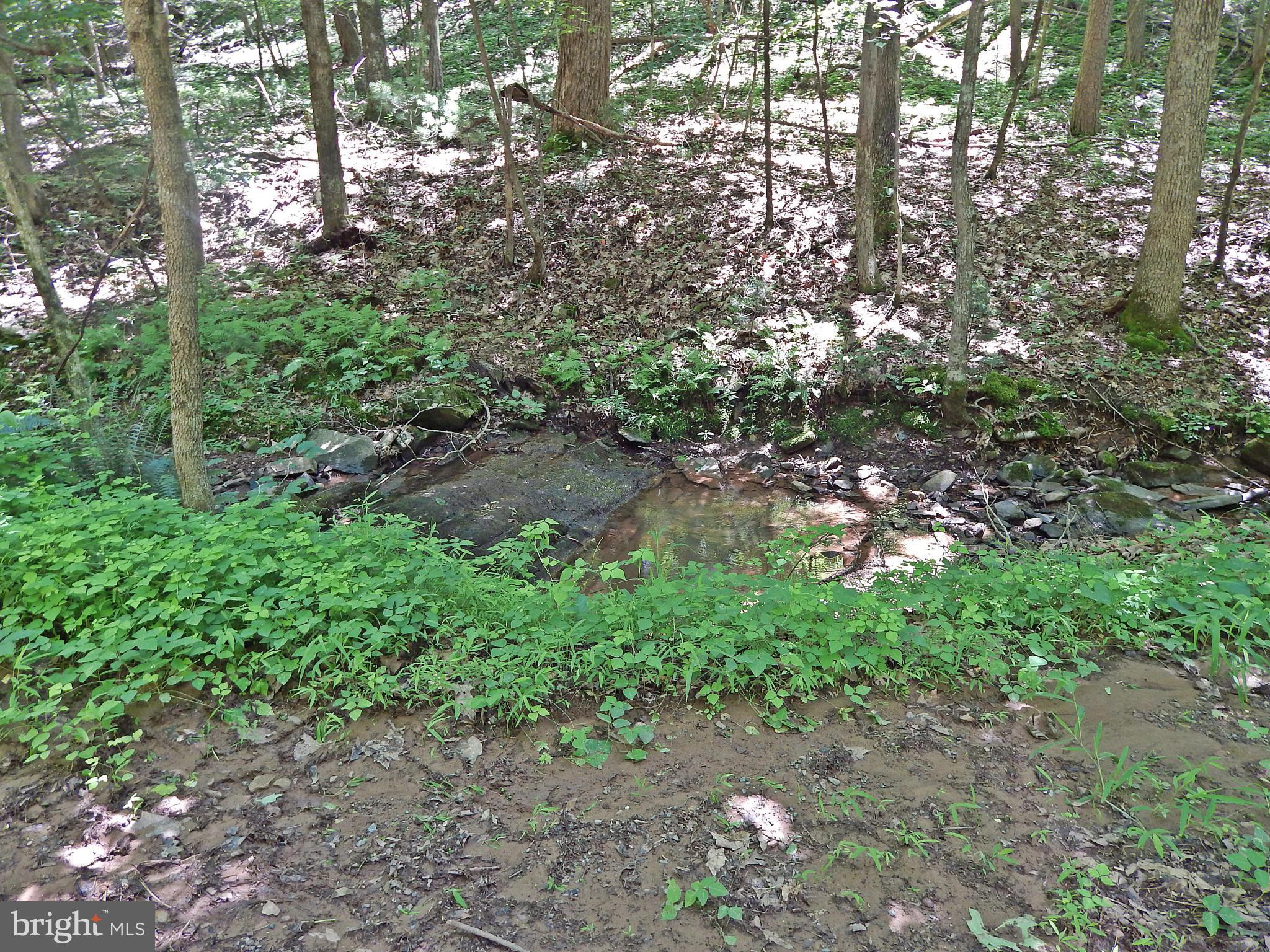 NONE AVAILABLE - Land