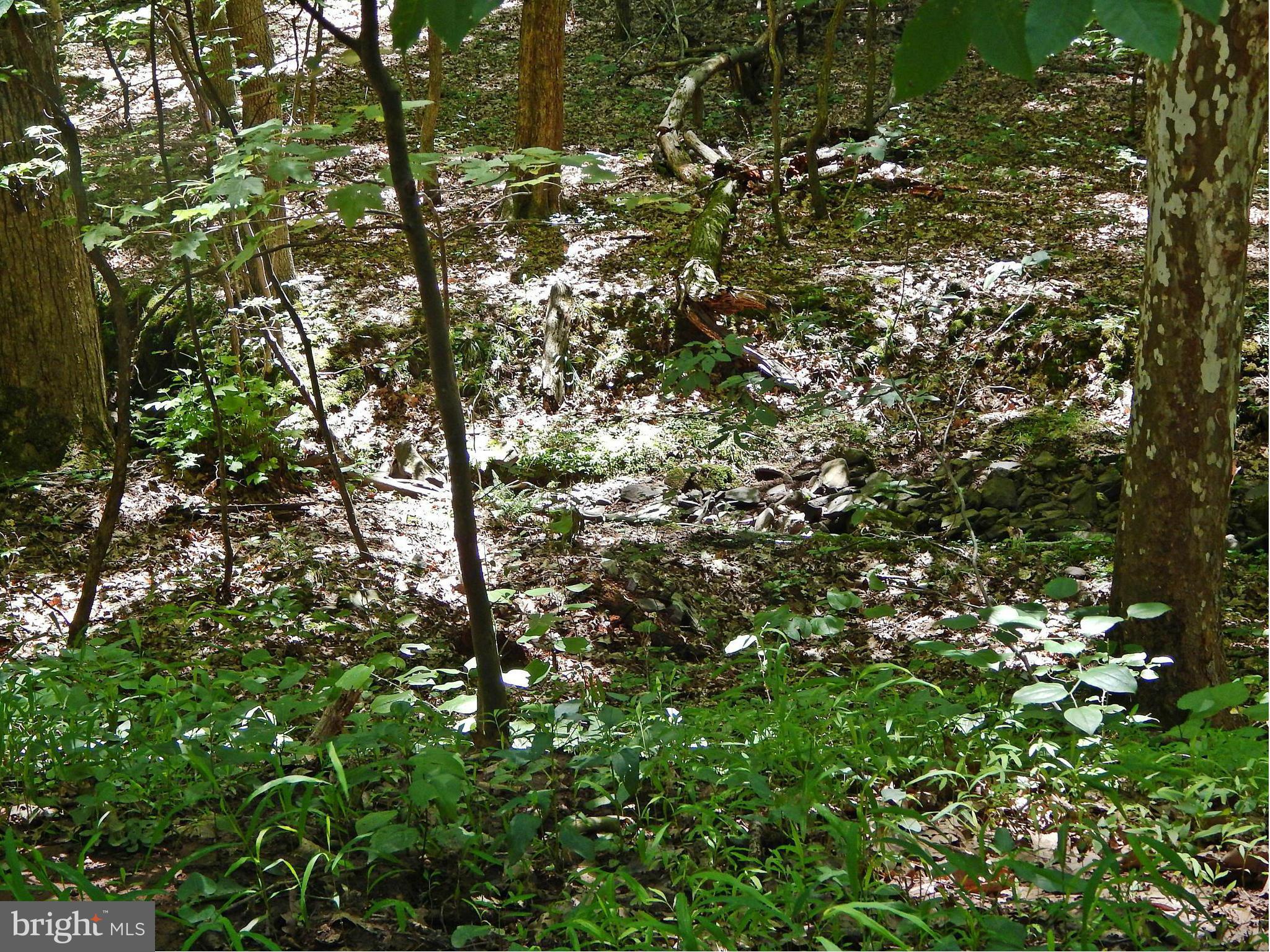 NONE AVAILABLE - Land