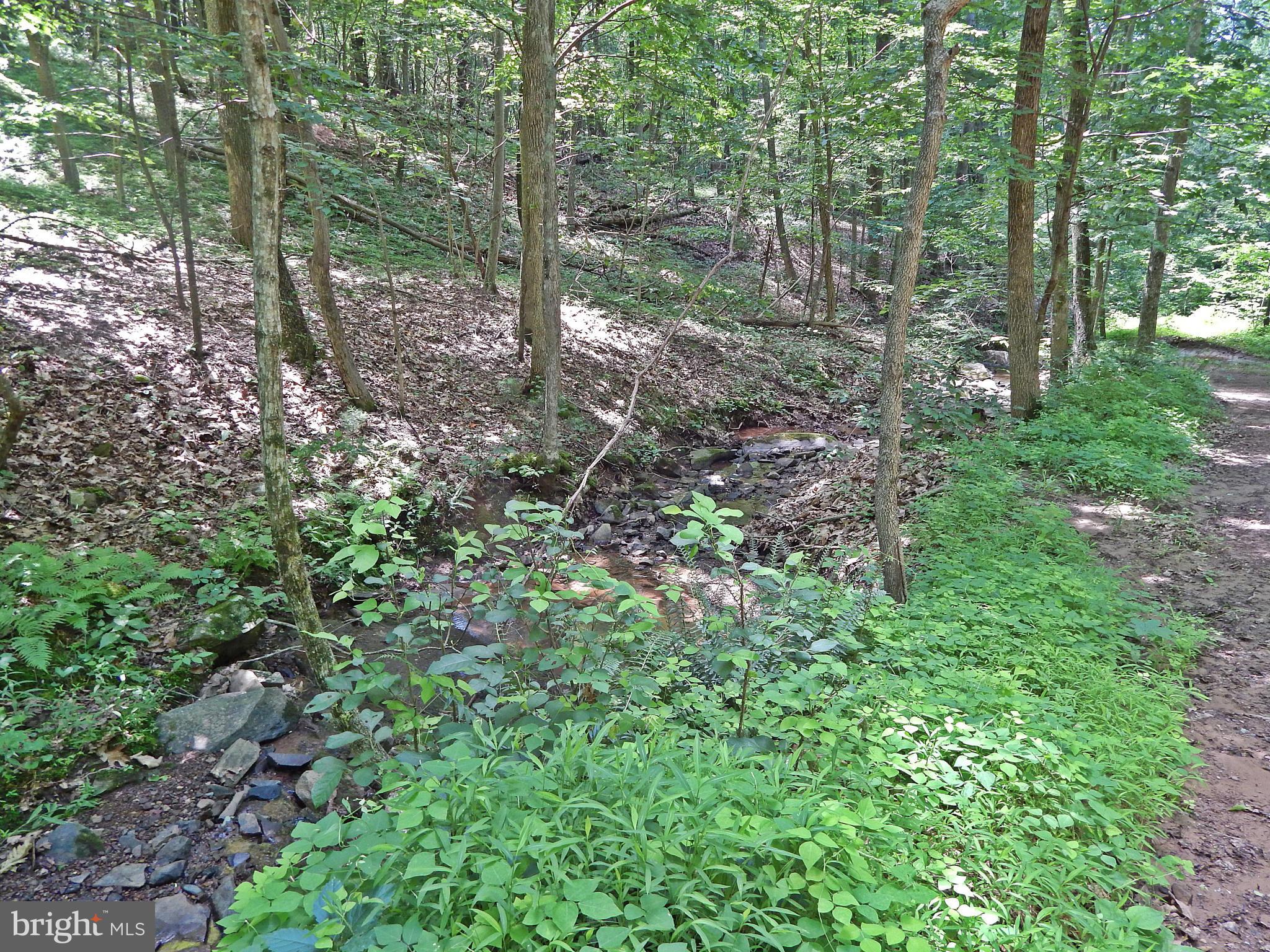 NONE AVAILABLE - Land