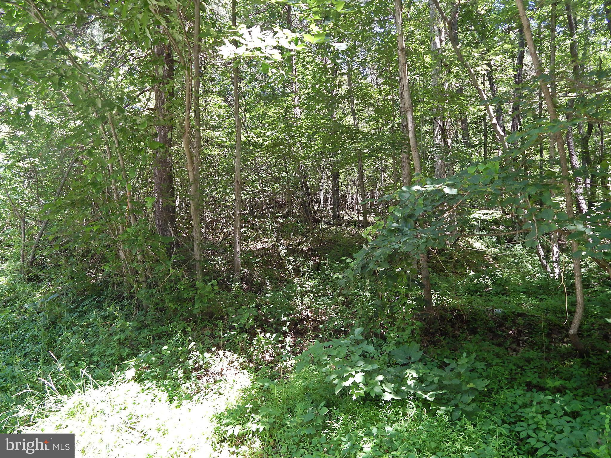 NONE AVAILABLE - Land