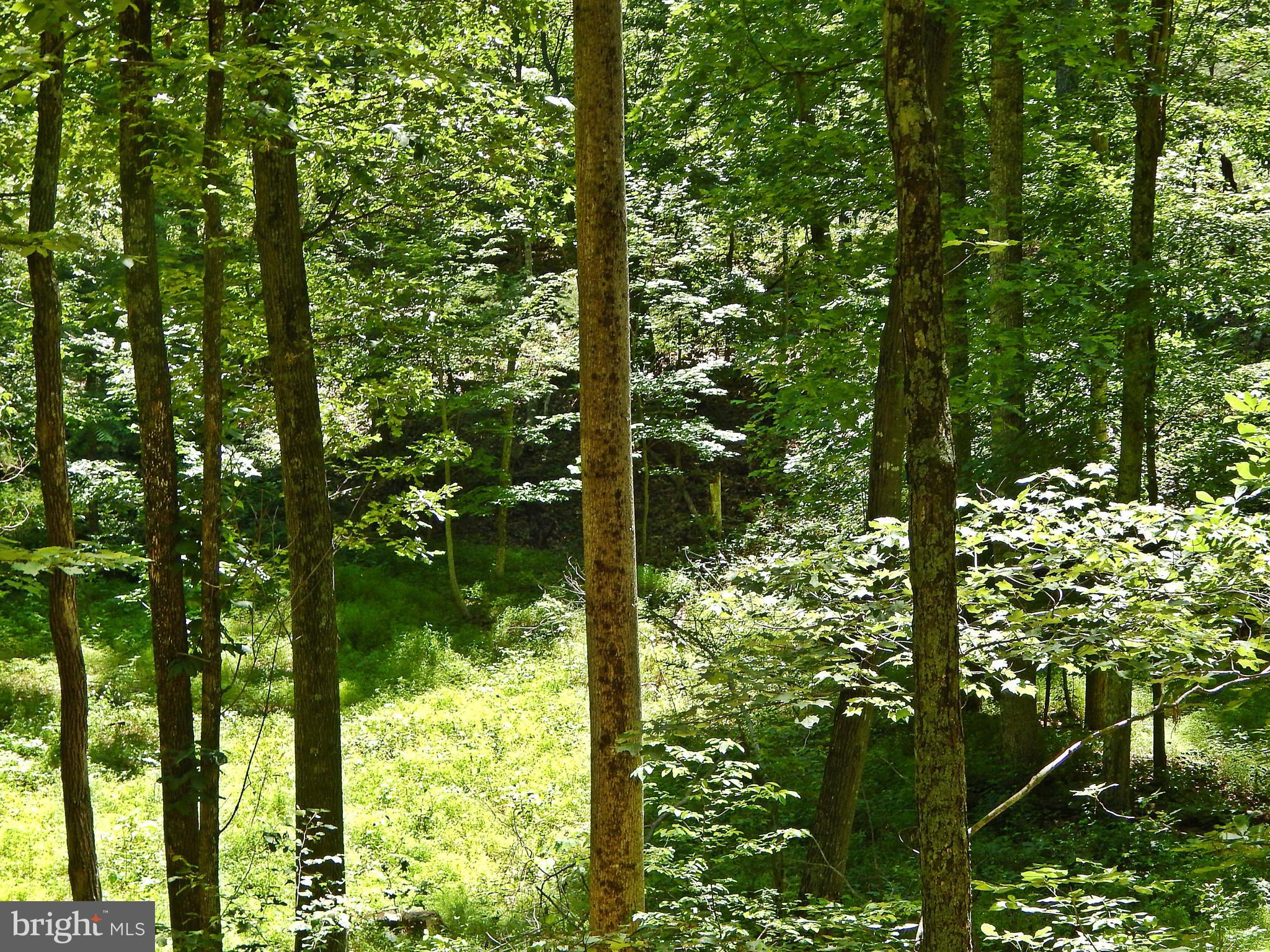 NONE AVAILABLE - Land