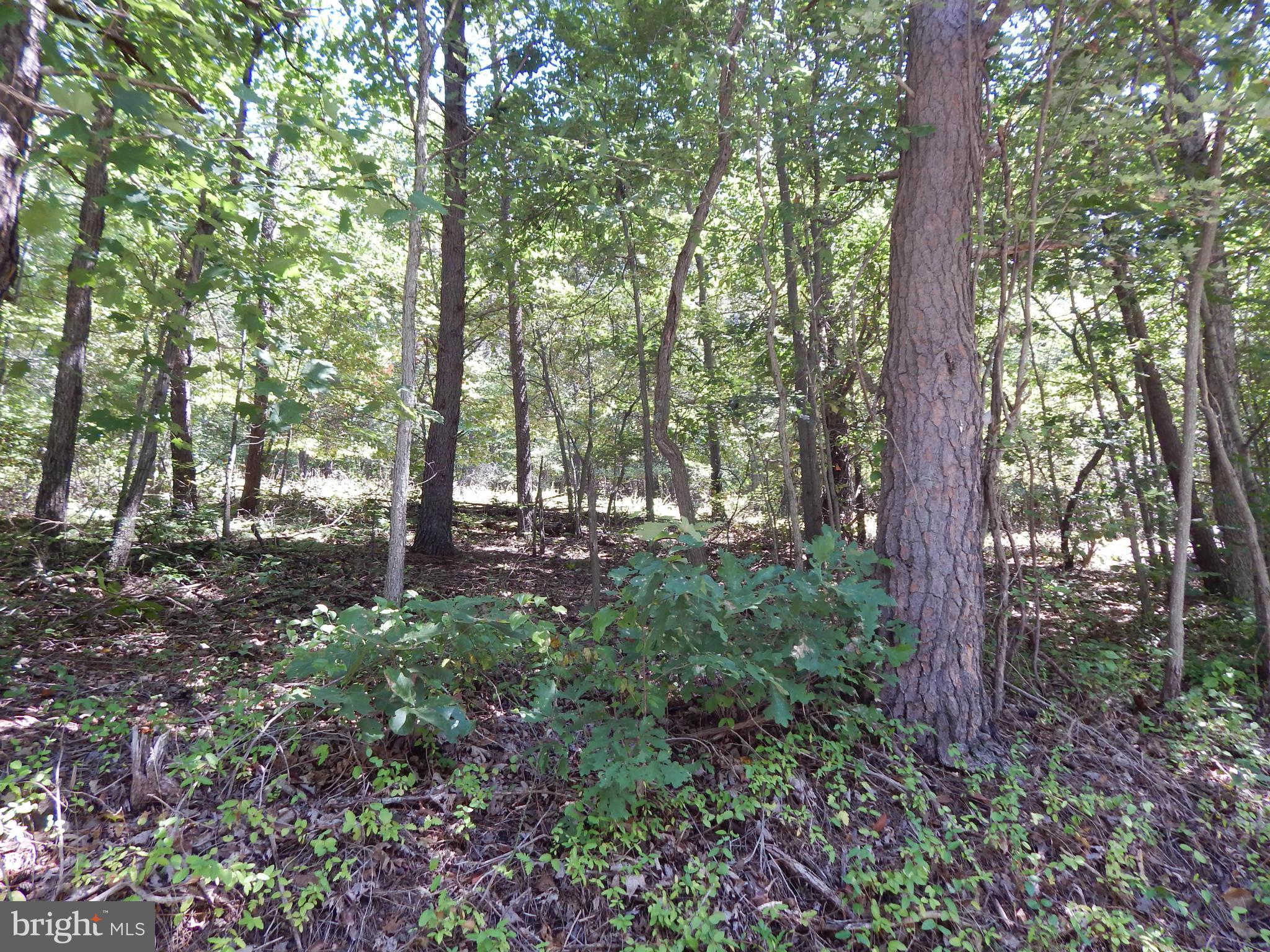 NONE AVAILABLE - Land