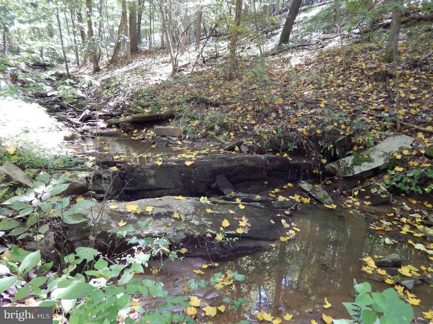 HIGH HOPES. Relaxing seclusion among the trees w/ sounds of trickling wet weather stream. UNRESTRICTED acreage w/ county road frontage, minutes to Sleepy Creek public access & Historic Town of Bath. Plan your hunting cabin, recreational, single or multi residential use. Well & septic on the property AS IS. No well or septic records. Development potential w/ approval from the planning commission.