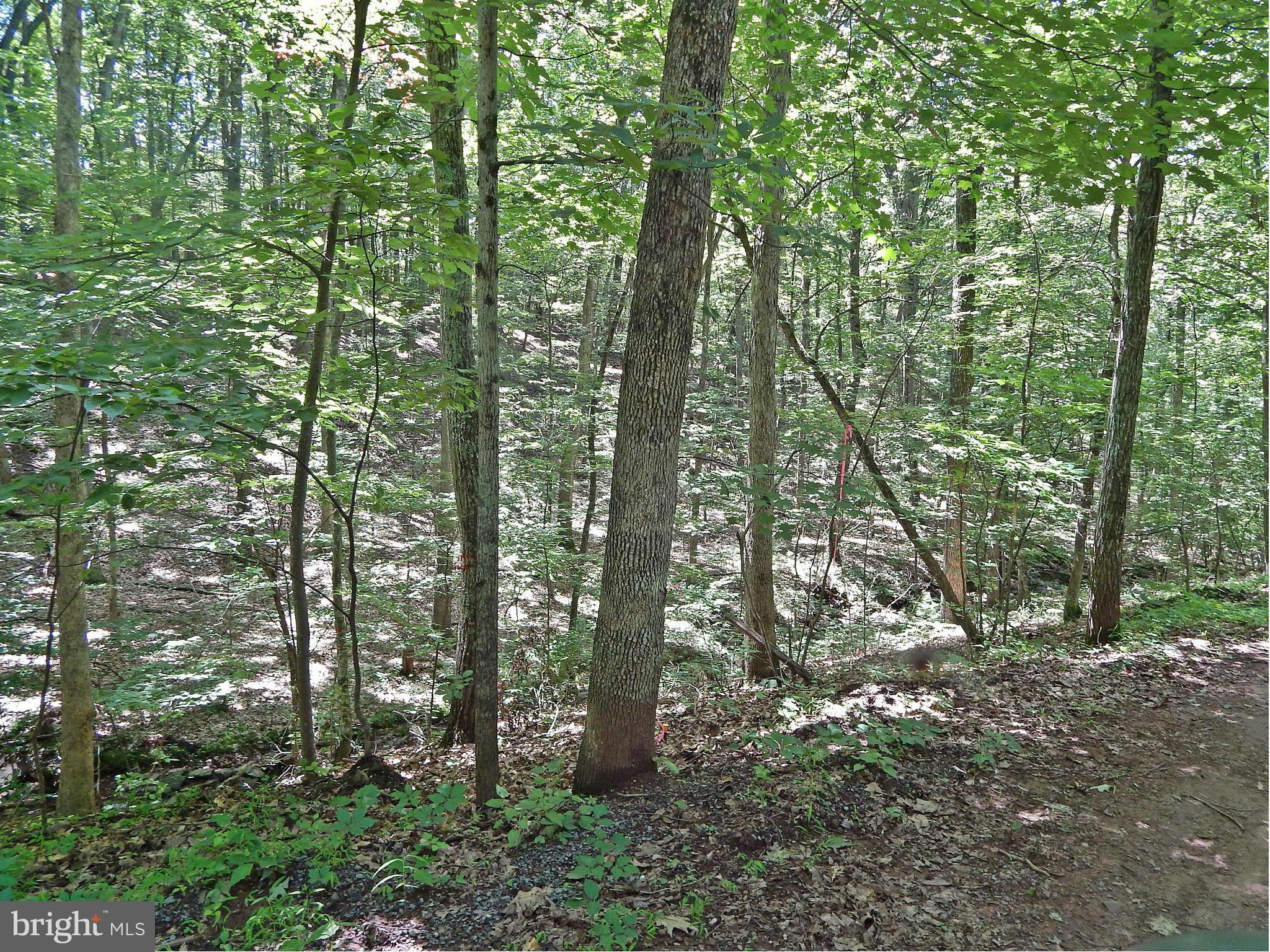 NONE AVAILABLE - Land