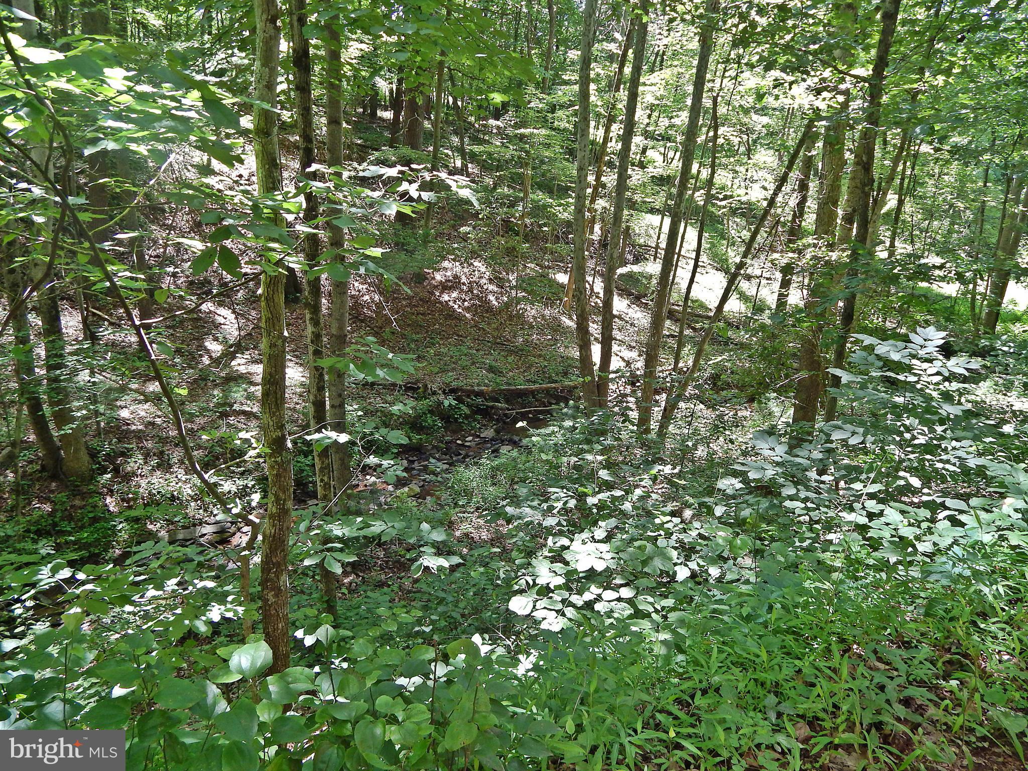 NONE AVAILABLE - Land