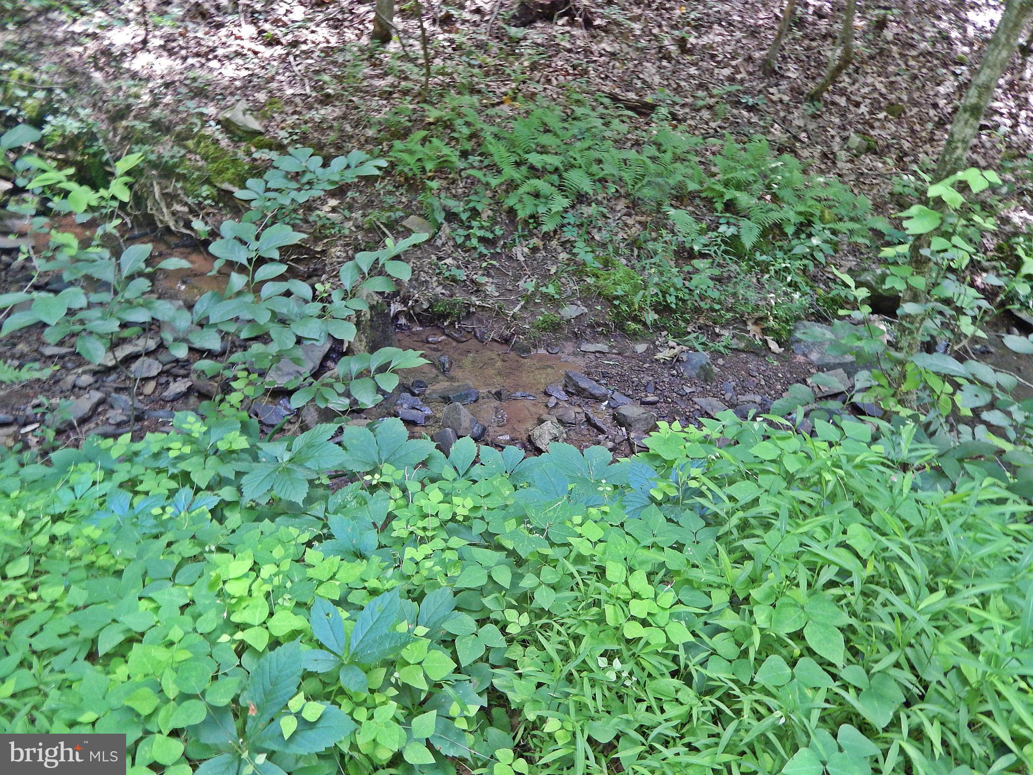 NONE AVAILABLE - Land