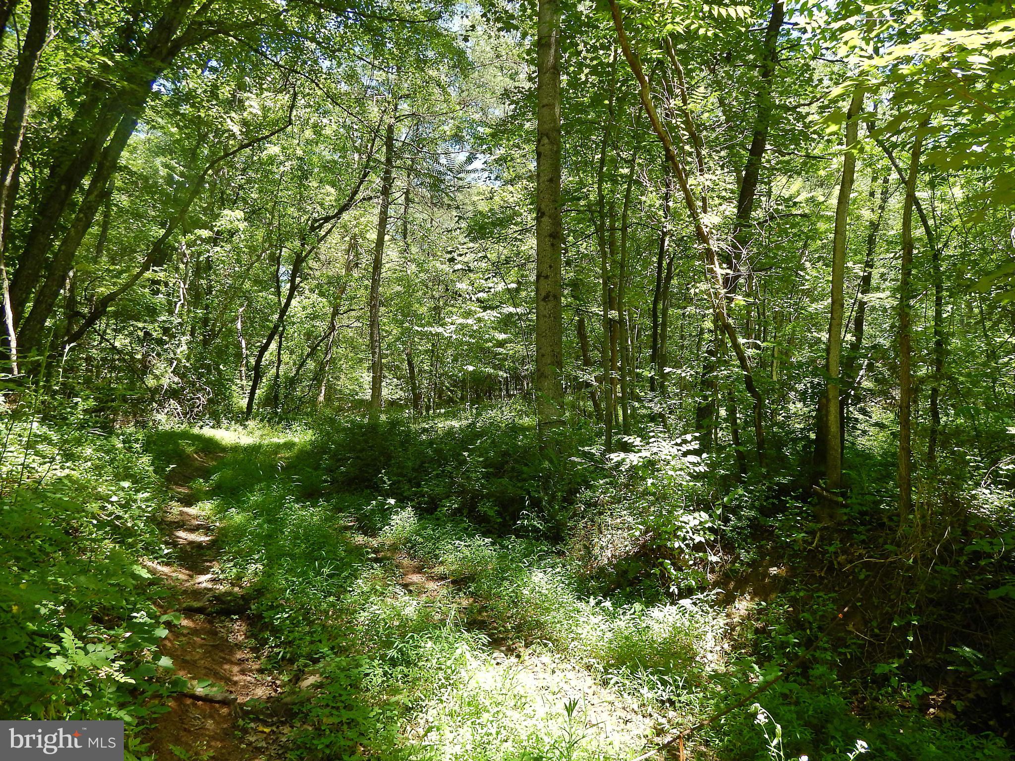 NONE AVAILABLE - Land