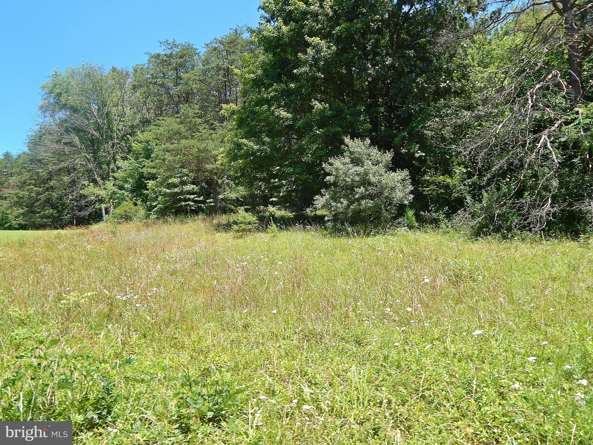 NONE AVAILABLE - Land