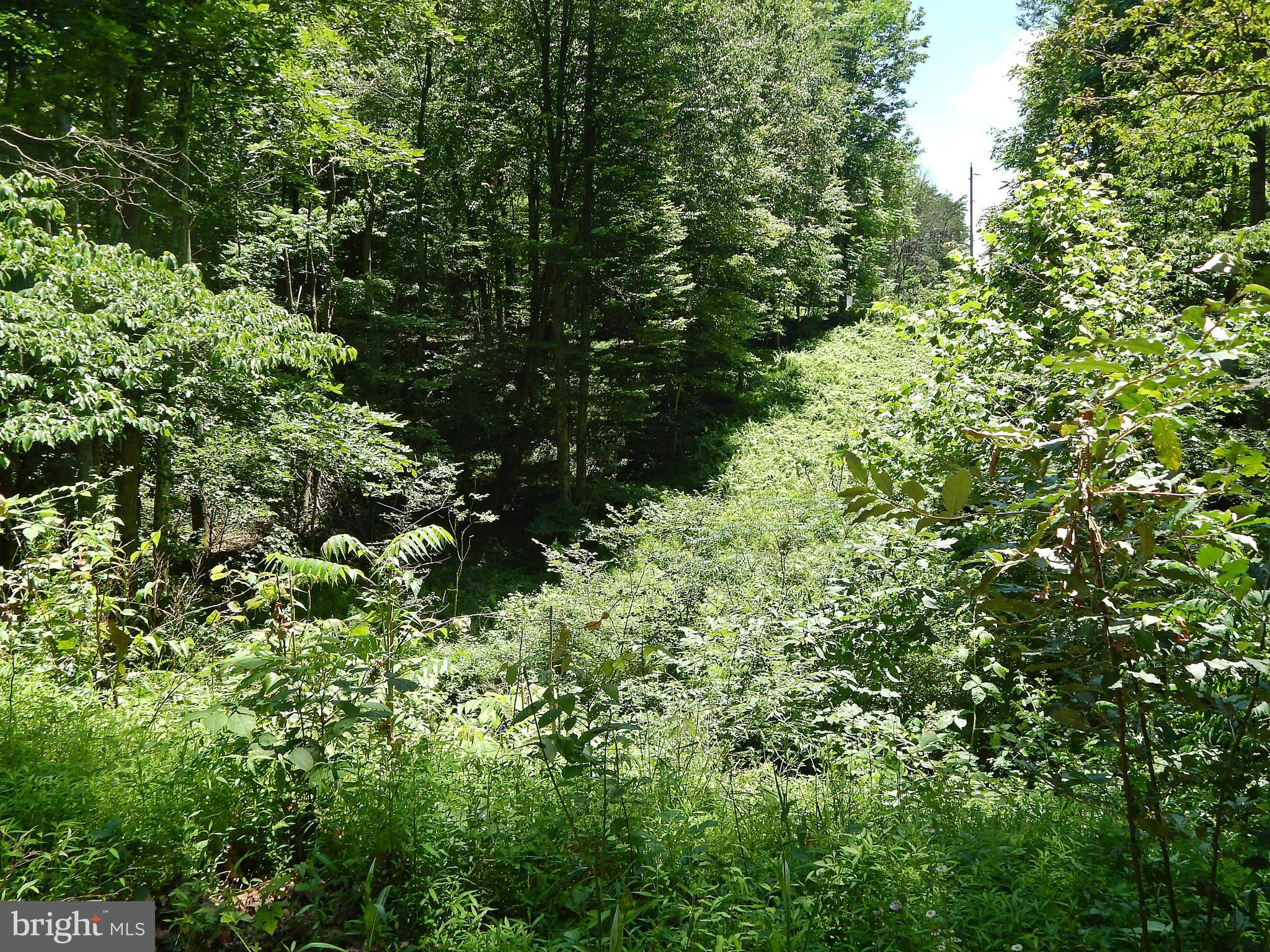 NONE AVAILABLE - Land