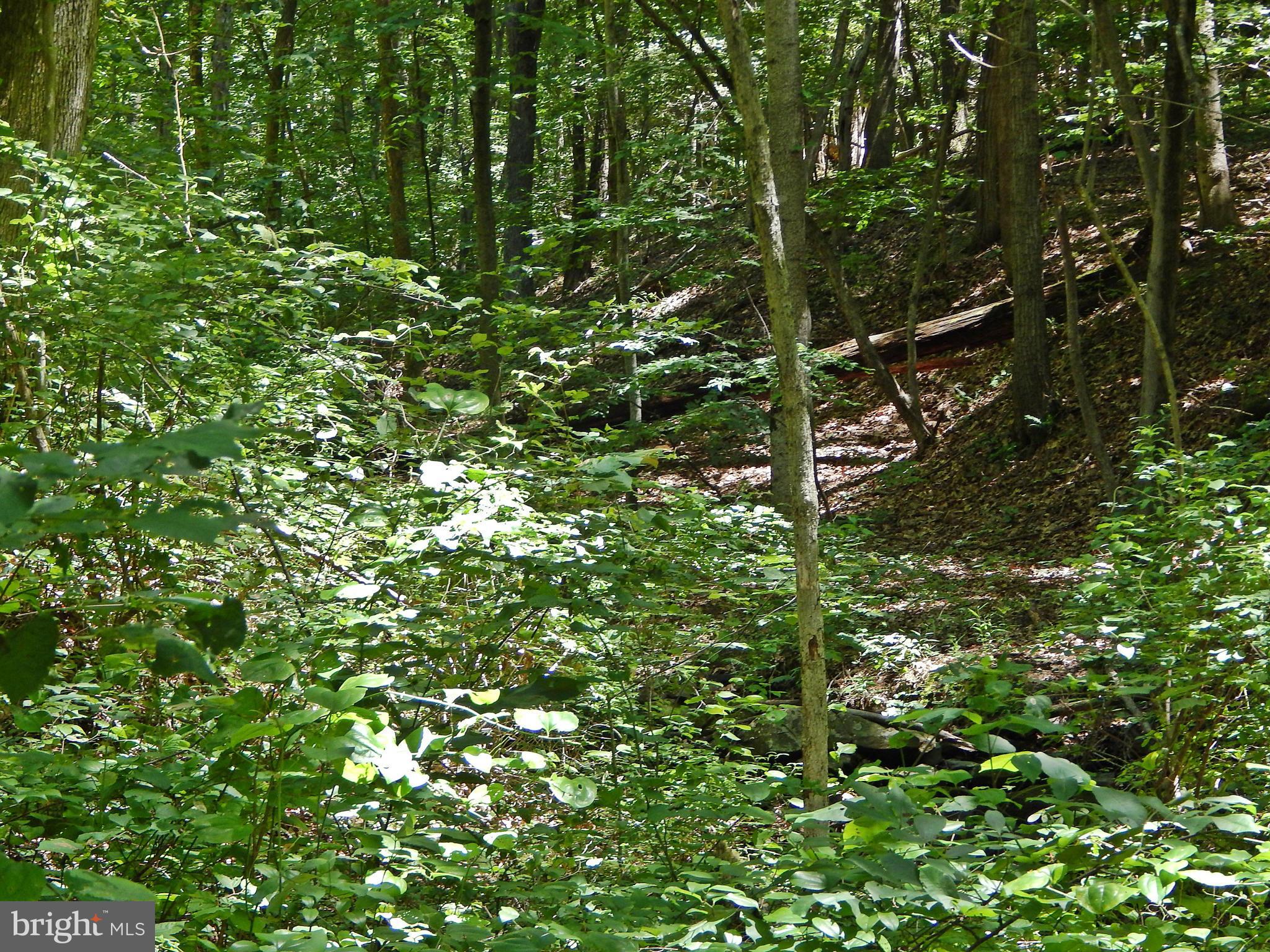 NONE AVAILABLE - Land