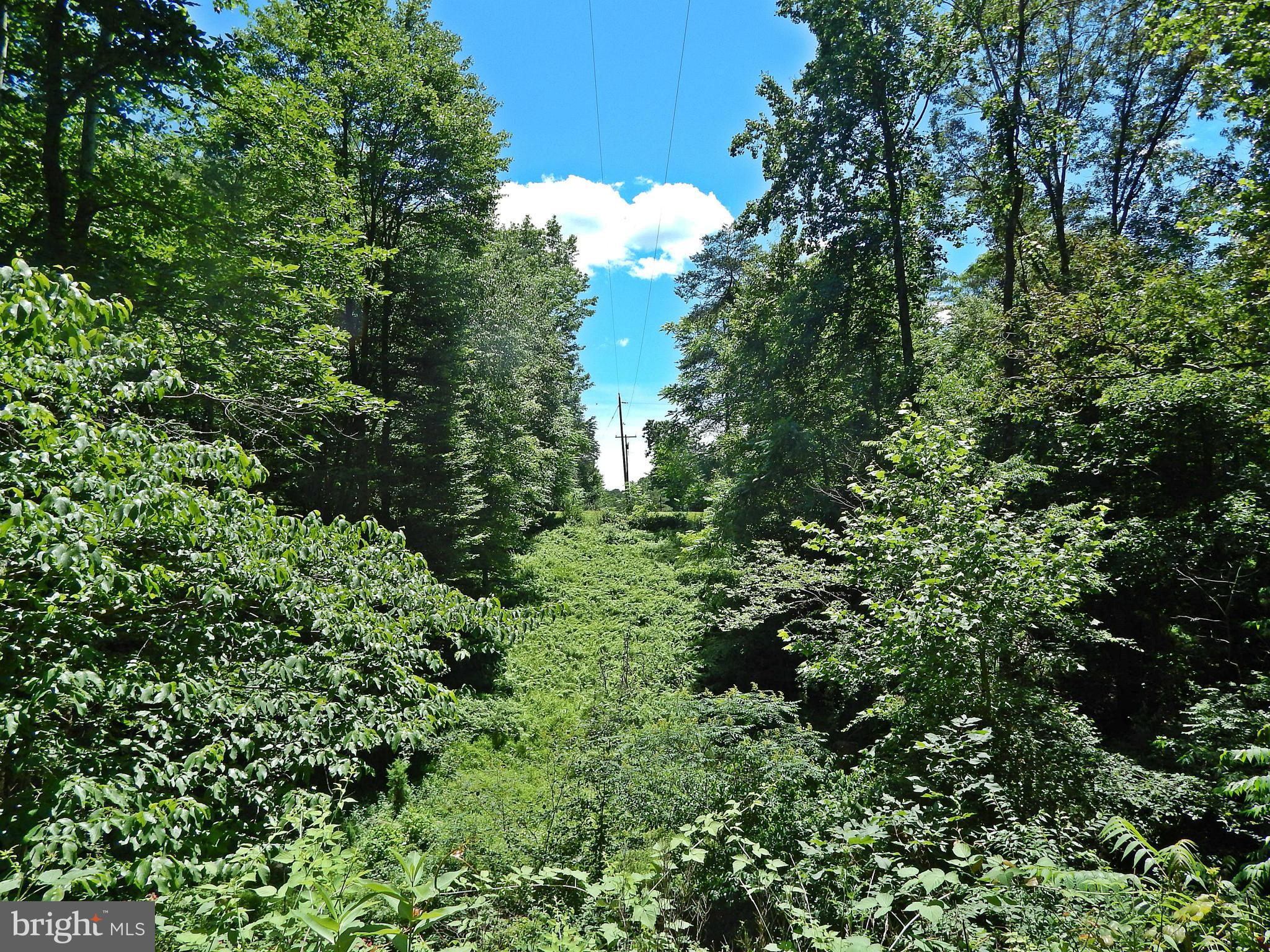 NONE AVAILABLE - Land