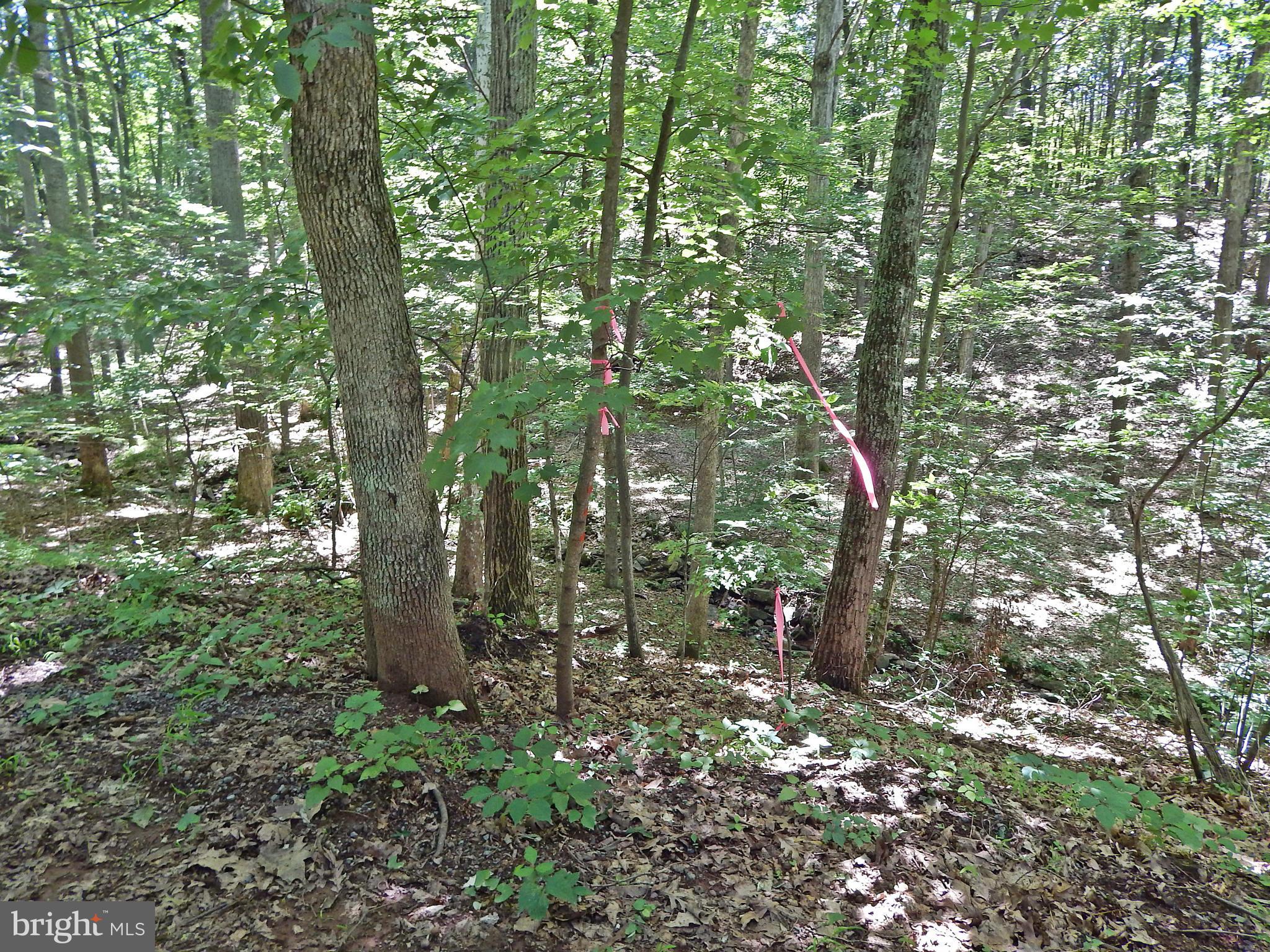 NONE AVAILABLE - Land