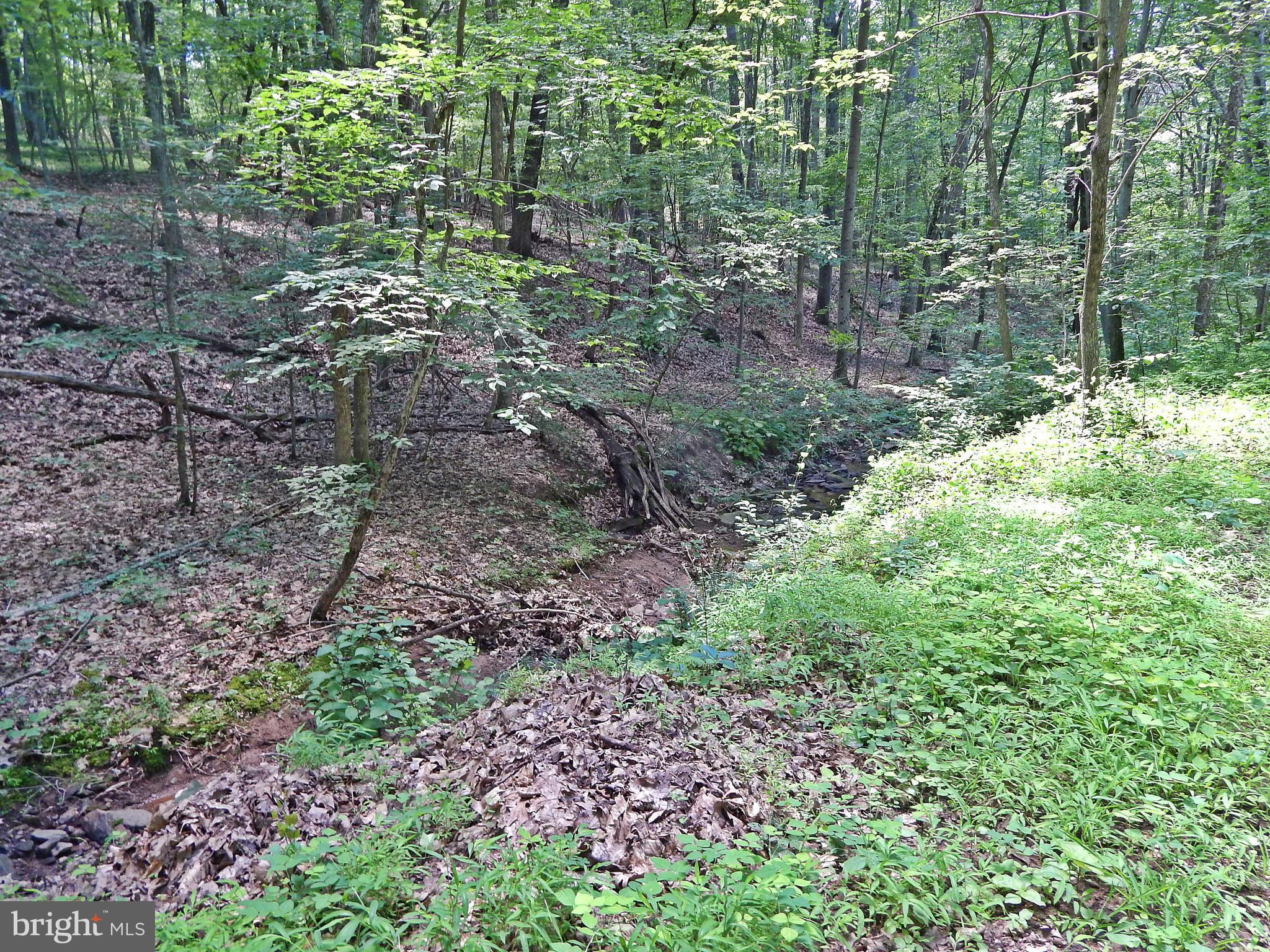 NONE AVAILABLE - Land