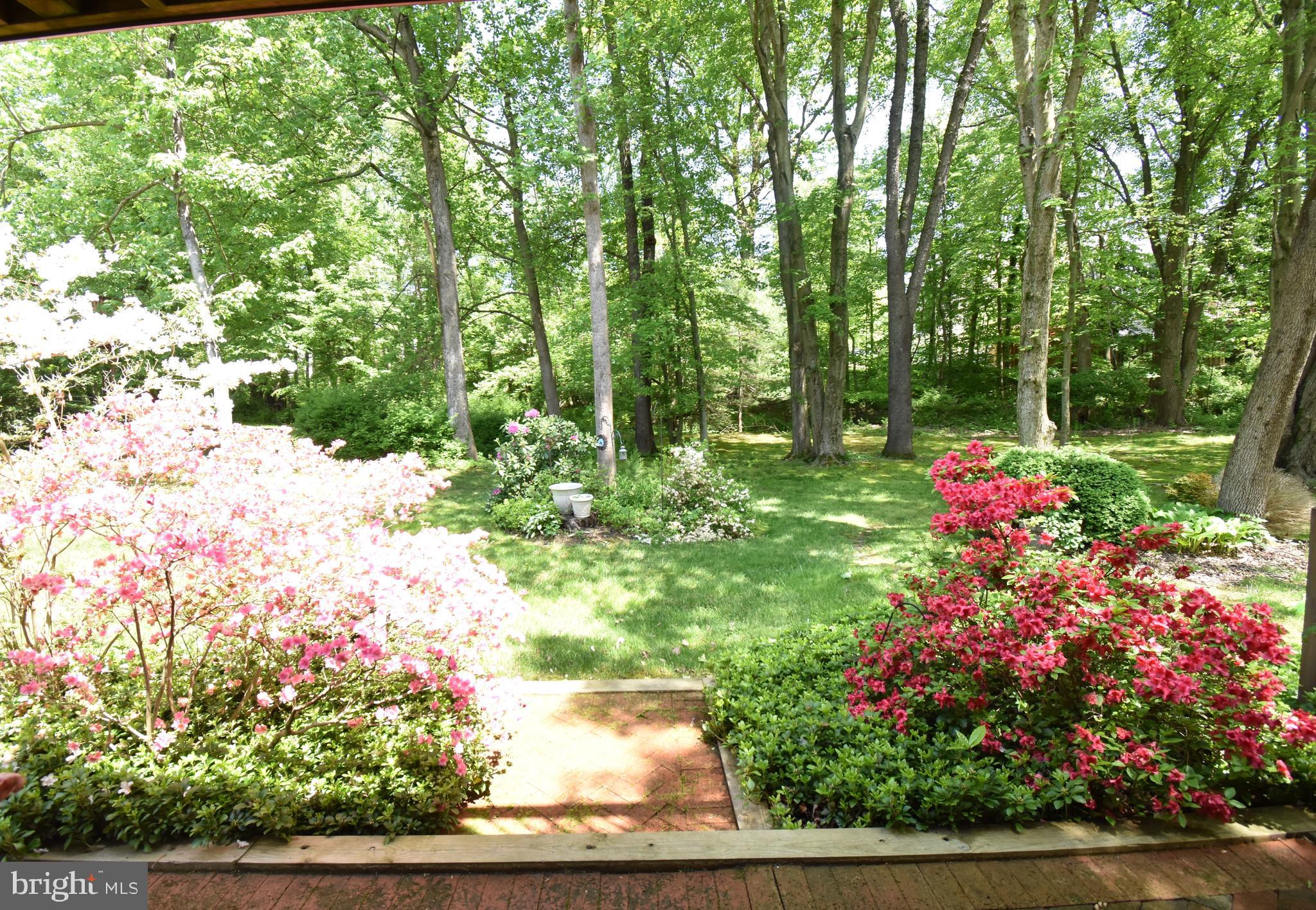 WHITE OAK - Residential