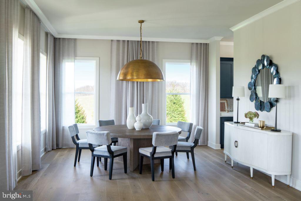 MT. PROSPECT - Residential