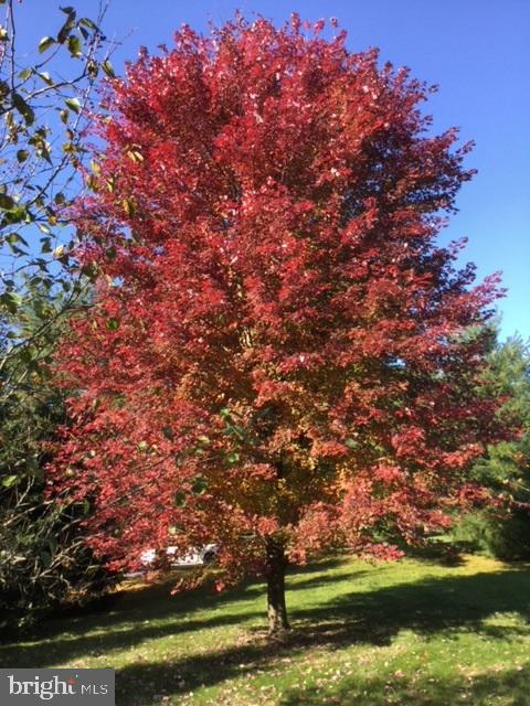 PINEBROOK - Residential