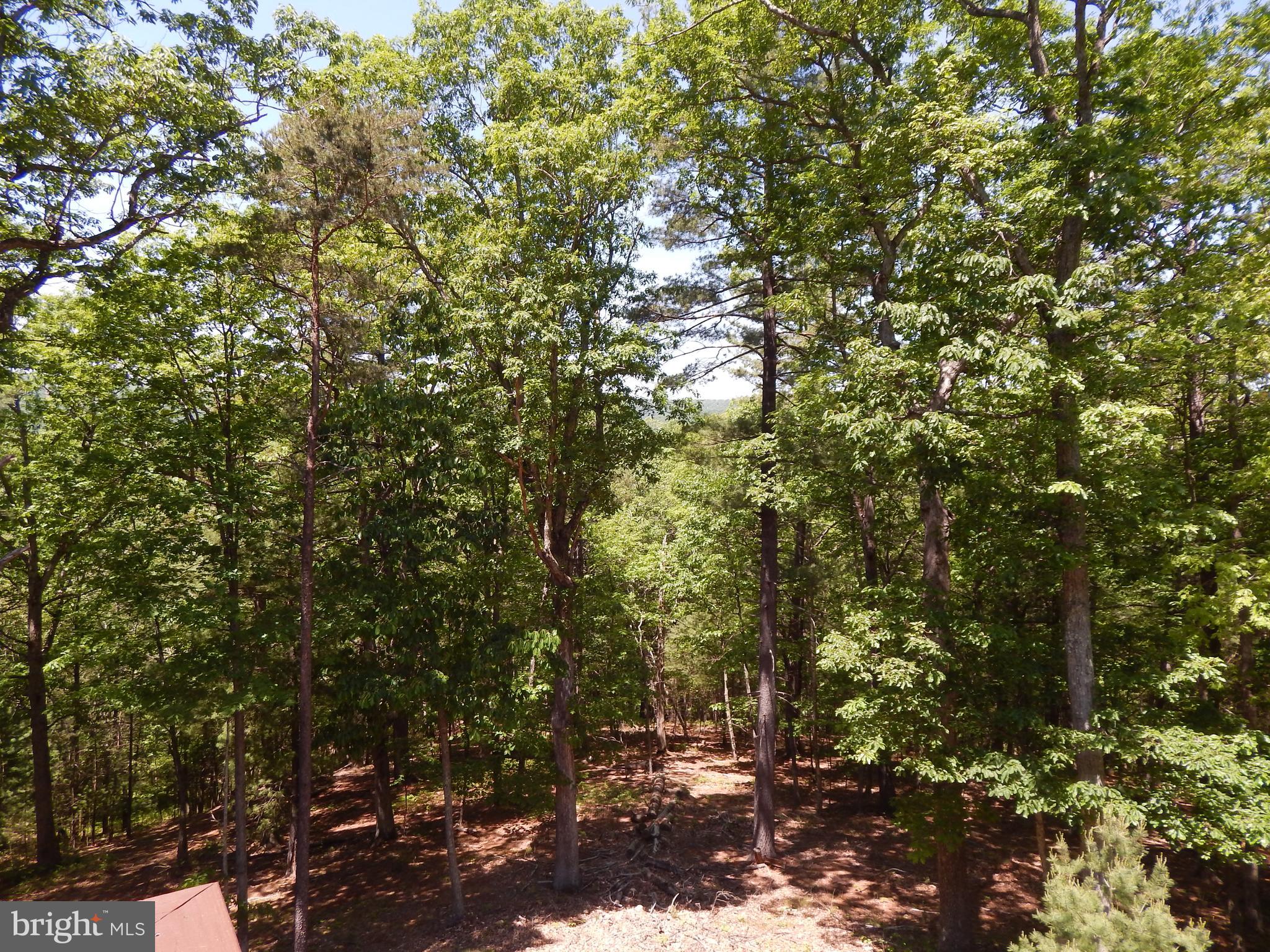 BEAVER DAM WOODS - Residential