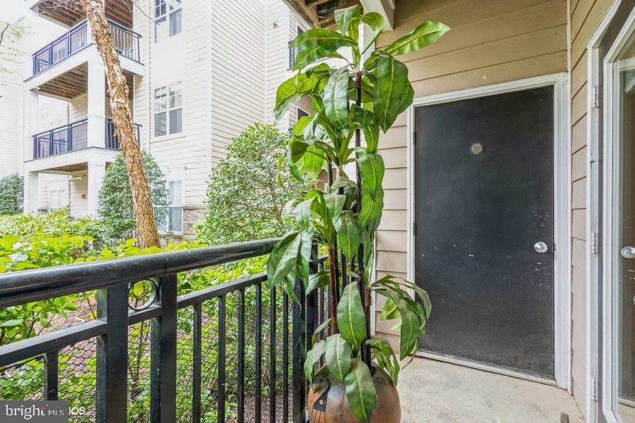 FITZ AT ROCKVILLE TOWN C - Residential