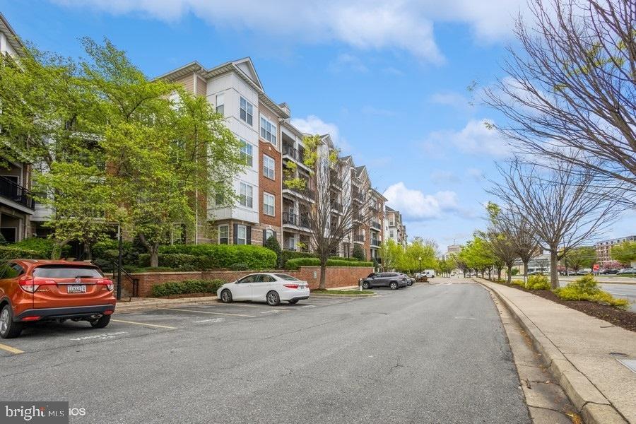 FITZ AT ROCKVILLE TOWN C - Residential