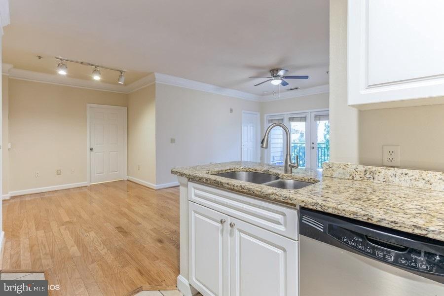 FITZ AT ROCKVILLE TOWN C - Residential