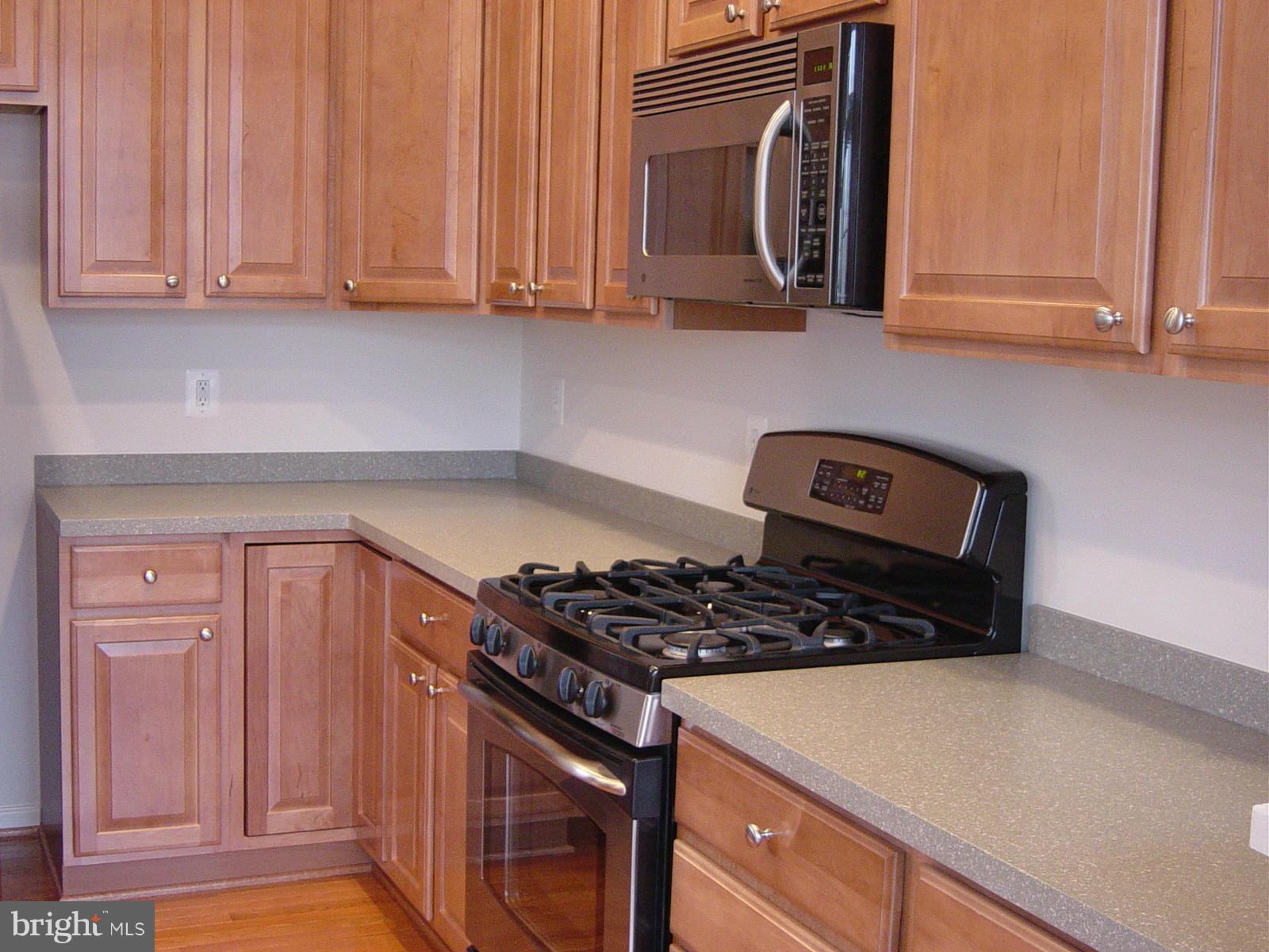 PIEDMONT SOUTH - Residential Lease