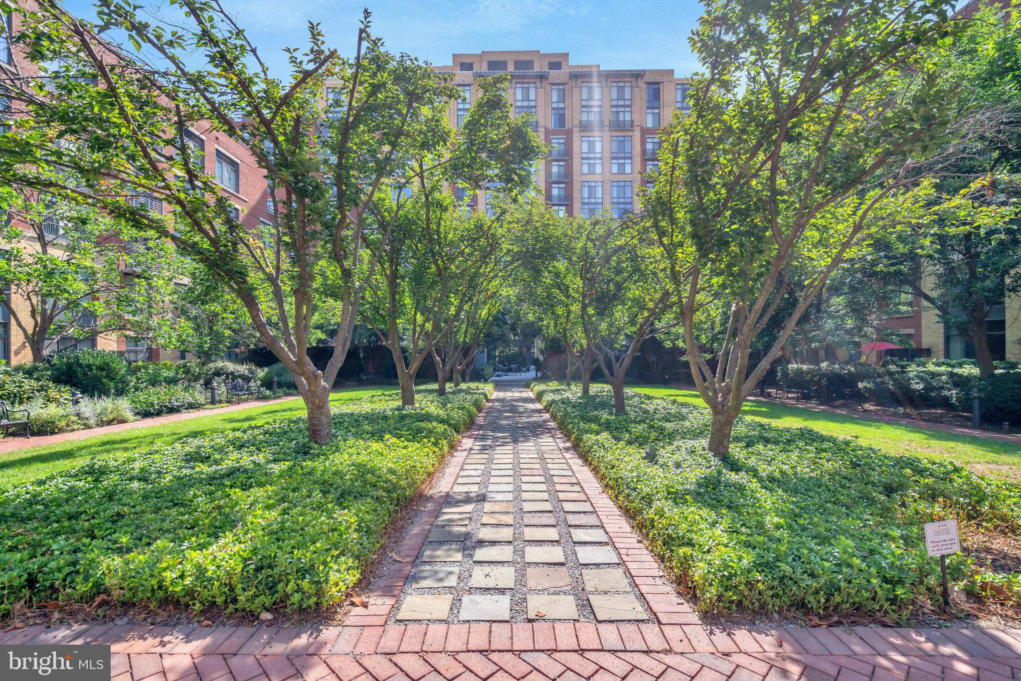CARLYLE SQUARE - Residential